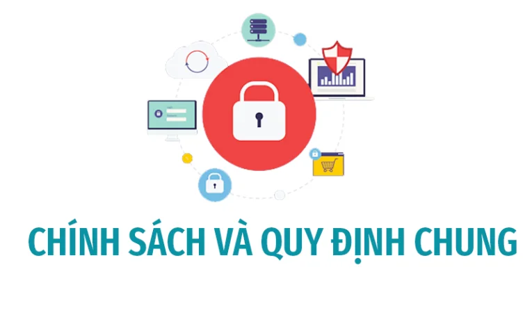 Chính sách hoạt động và quy định chung tại website